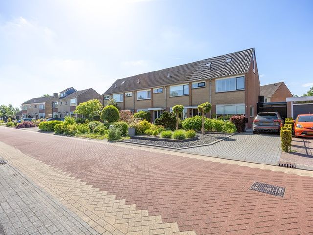 't Veer 14, Leek