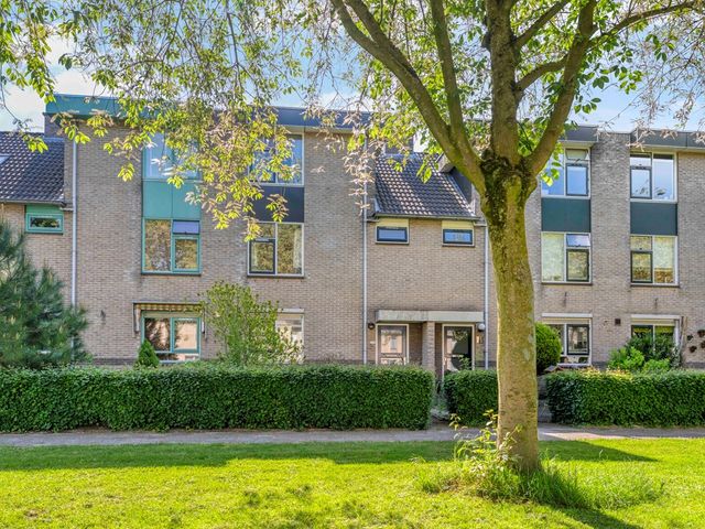 Muntslag 55, Houten