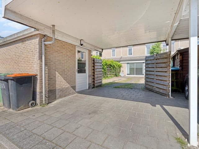 Muntslag 55, Houten
