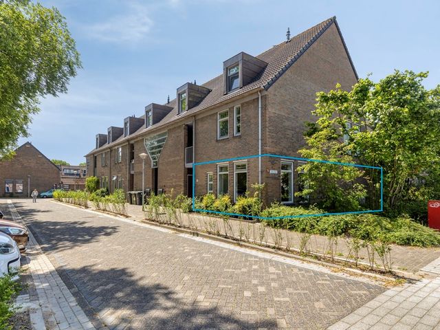 Paardebloem 98, Zwaag