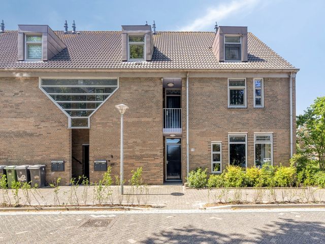 Paardebloem 98, Zwaag