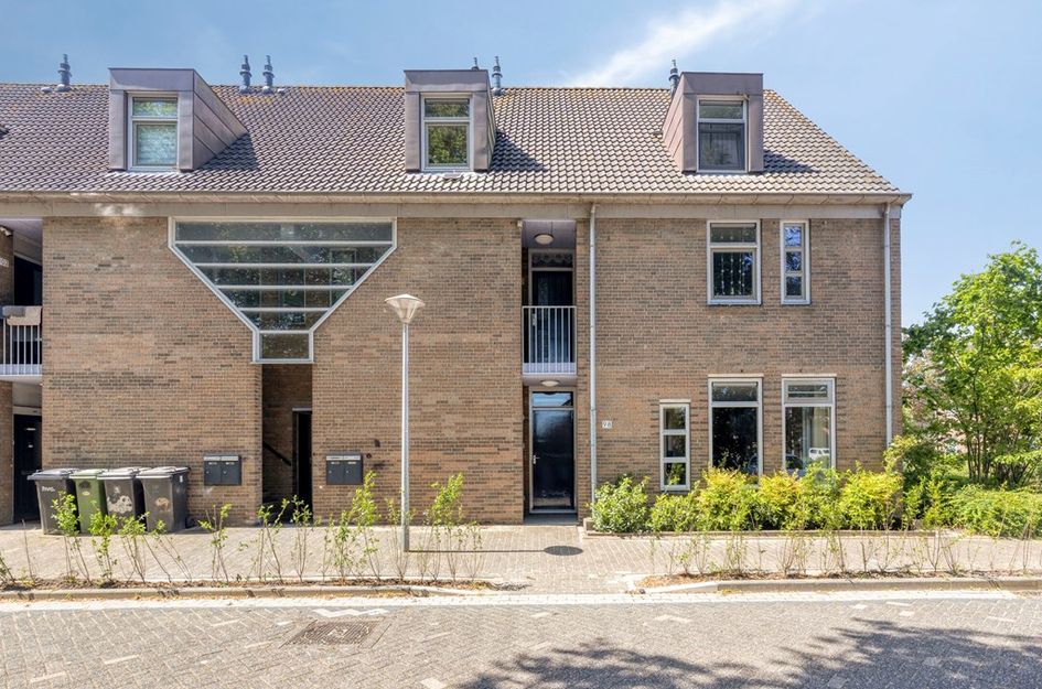 Paardebloem 98
