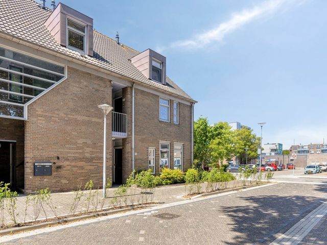 Paardebloem 98, Zwaag
