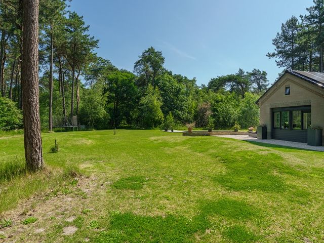 Sneidershoek 15, Knegsel