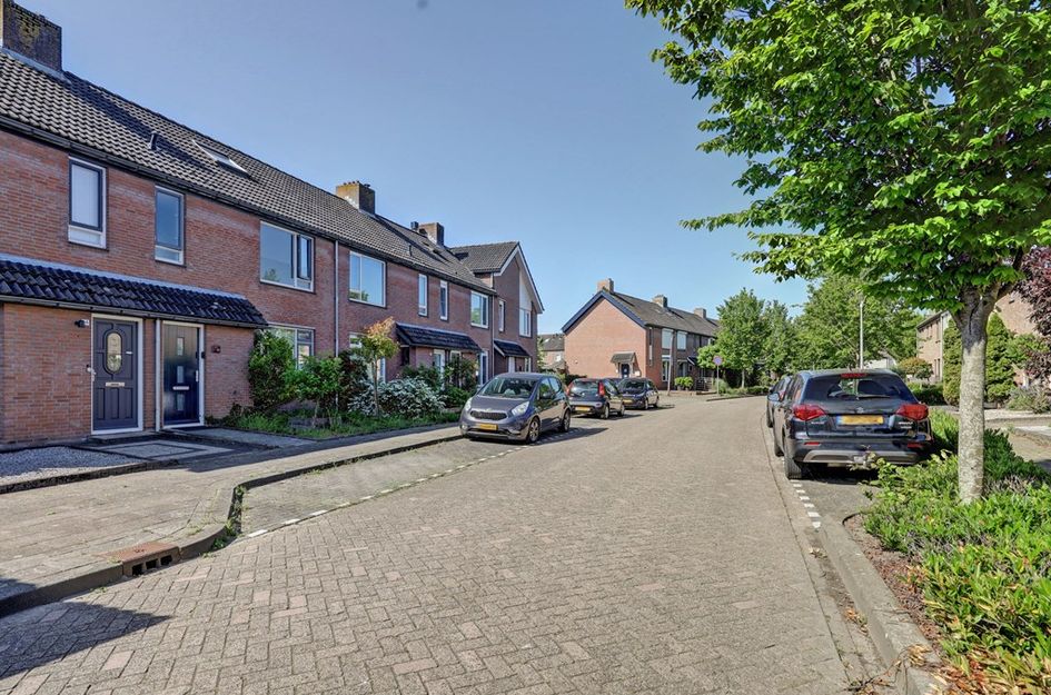 Zilvermeeuw 24