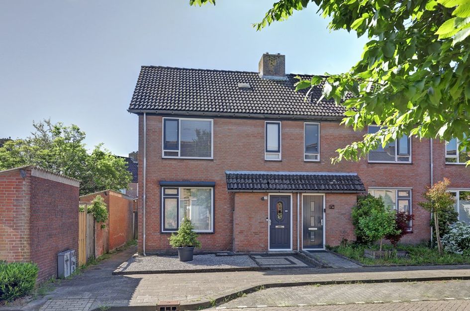 Zilvermeeuw 24