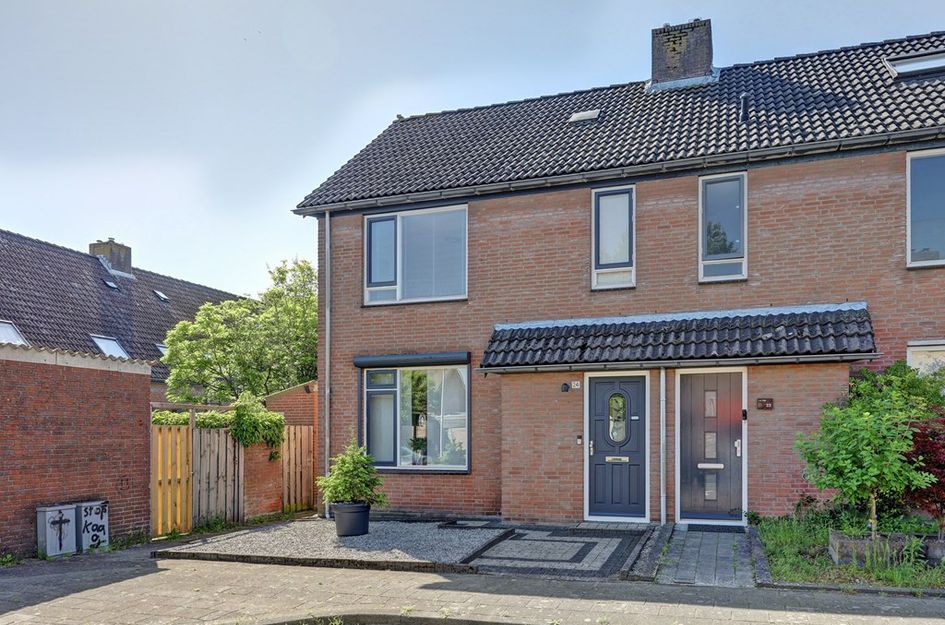 Zilvermeeuw 24