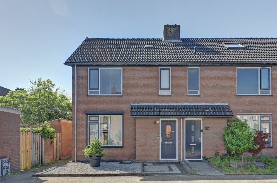Zilvermeeuw 24