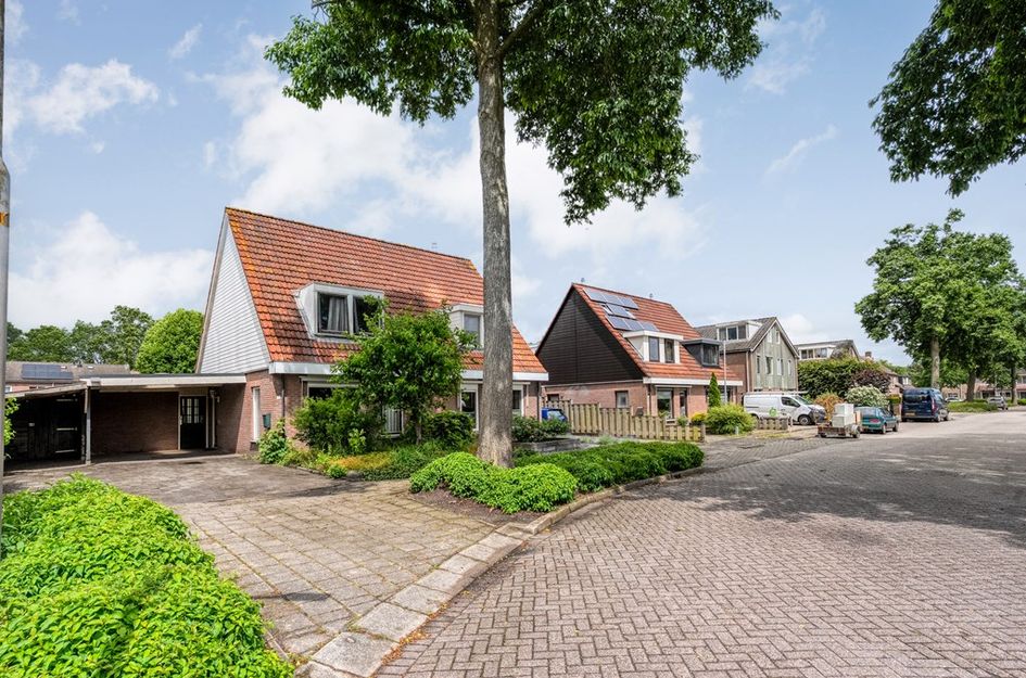 De Koningsvaren 71