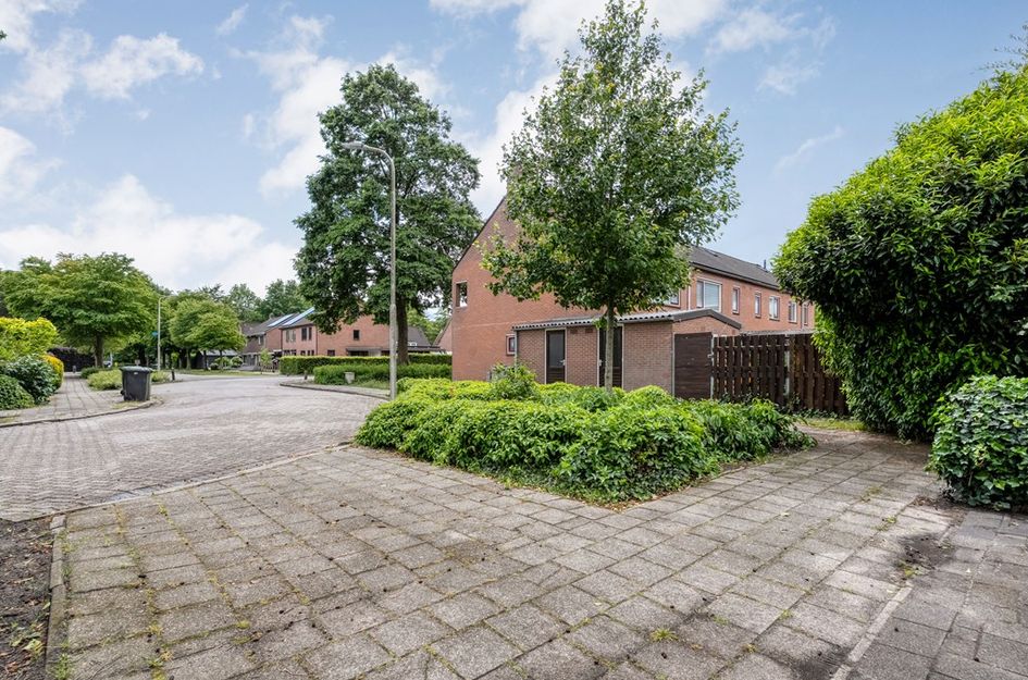 De Koningsvaren 71