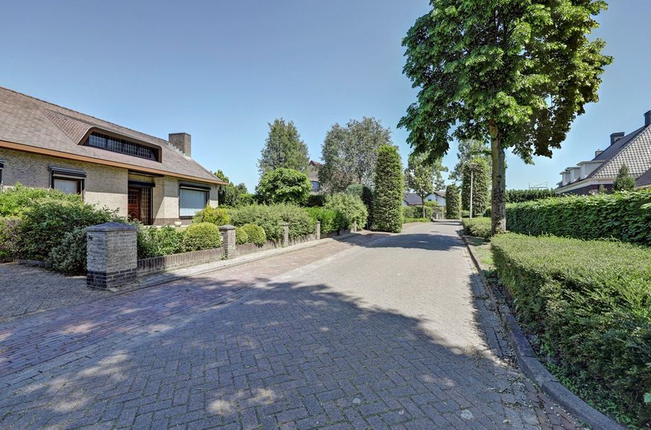 Wilgenstraat 12