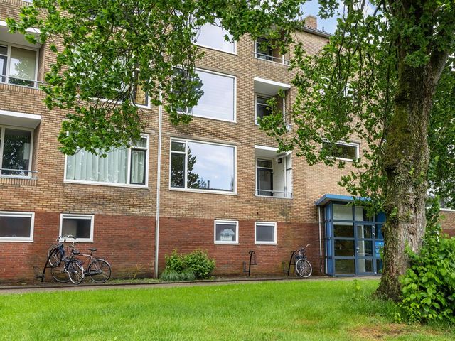 Dierenriemstraat 167, Groningen