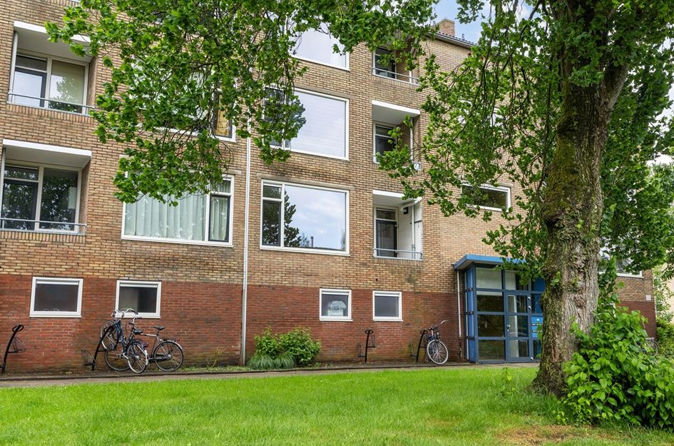 Dierenriemstraat 167