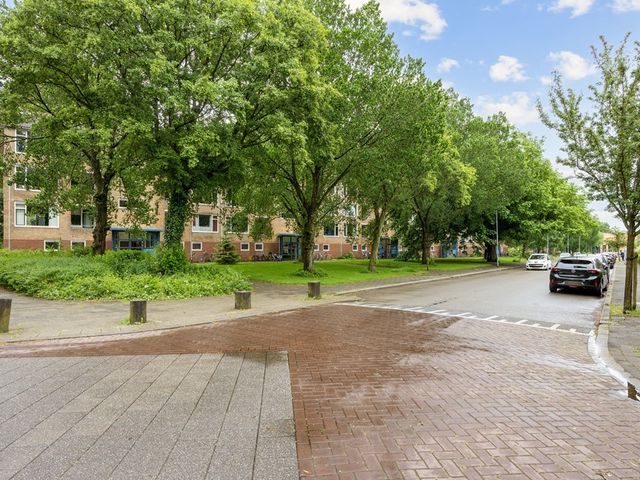 Dierenriemstraat 167, Groningen