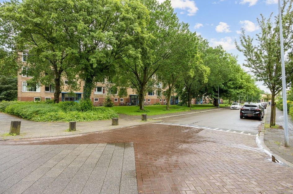 Dierenriemstraat 167