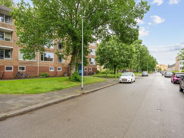 Dierenriemstraat 167, Groningen