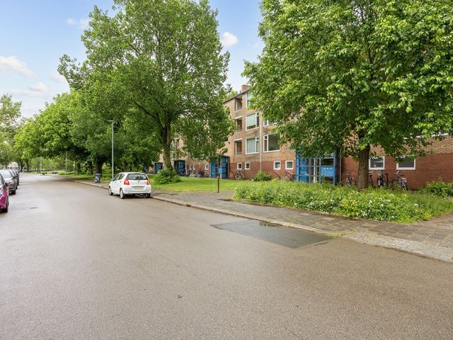 Dierenriemstraat 167, Groningen