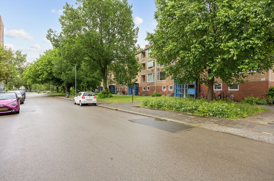 Dierenriemstraat 167