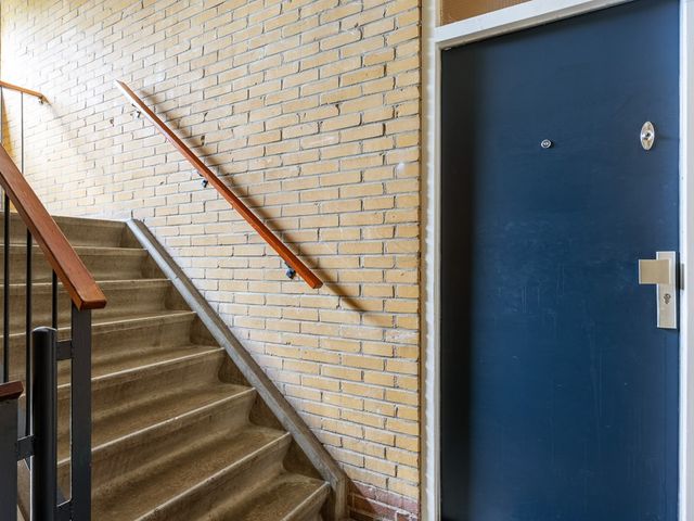 Dierenriemstraat 167, Groningen