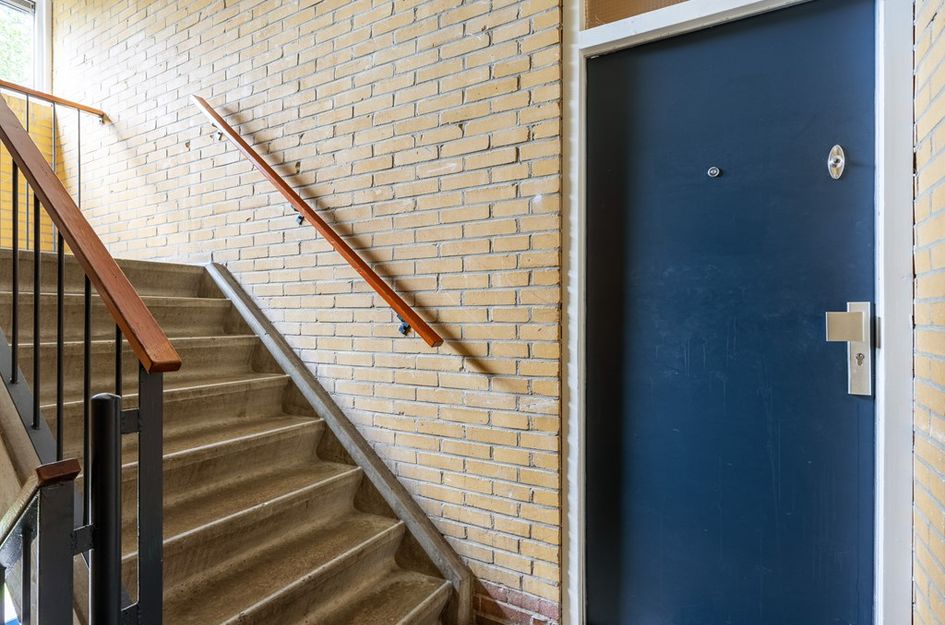 Dierenriemstraat 167