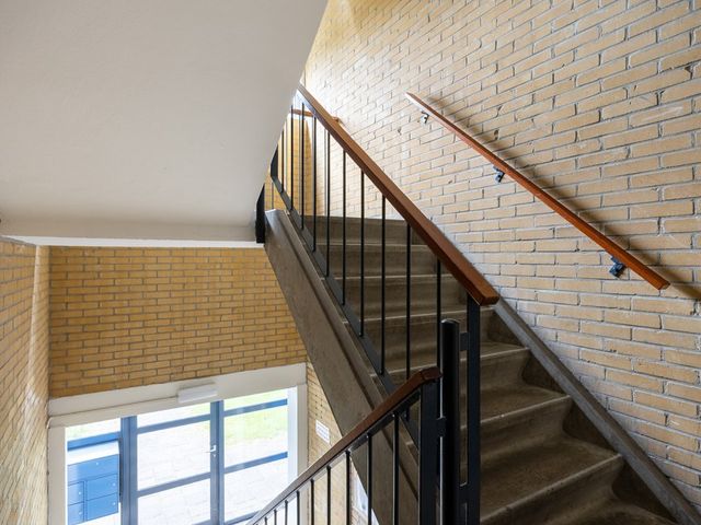 Dierenriemstraat 167, Groningen