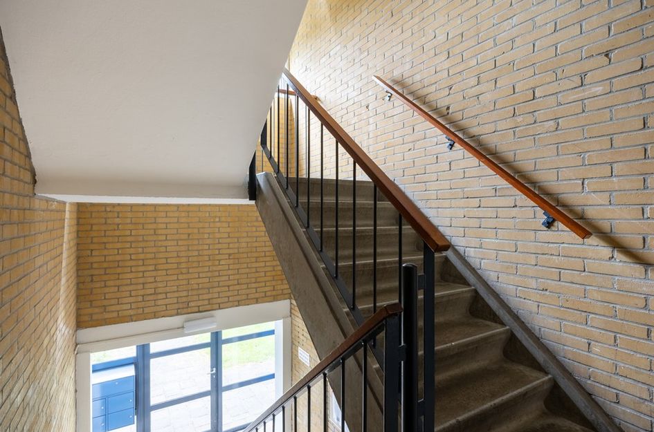 Dierenriemstraat 167