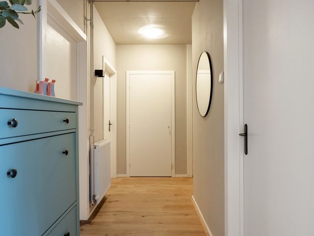Dierenriemstraat 167, Groningen