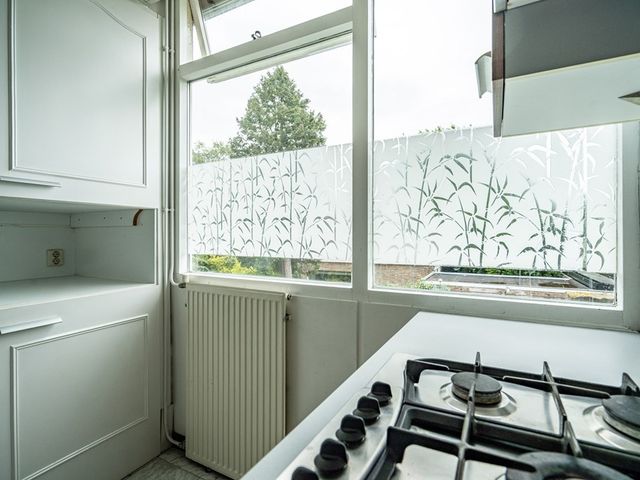van Ruysdaellaan 50, Leidschendam