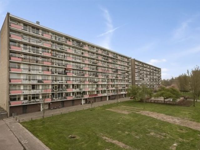 Trekvogelweg , Amersfoort