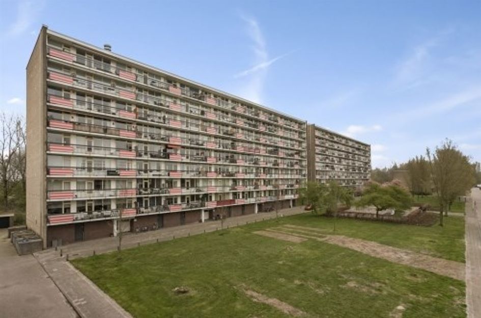 Trekvogelweg 