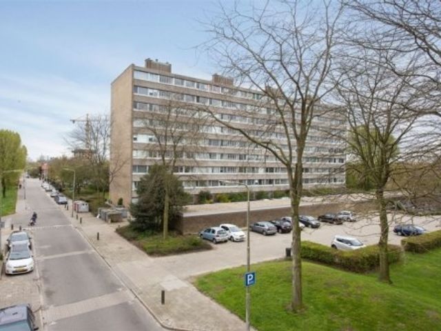 Zangvogelweg , Amersfoort