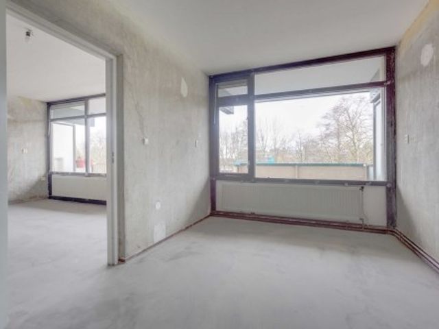 Bramzeilhof , Amsterdam