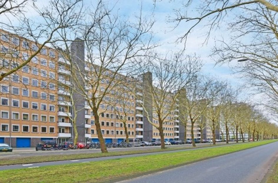 Van Nijenrodeweg 