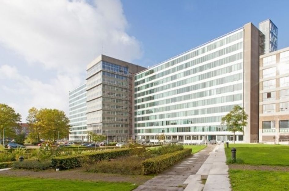 Bos en Lommerplantsoen 
