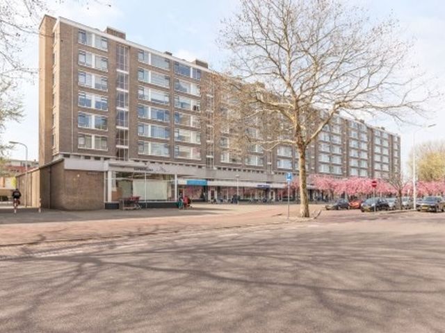 Beresteinlaan , 's-Gravenhage
