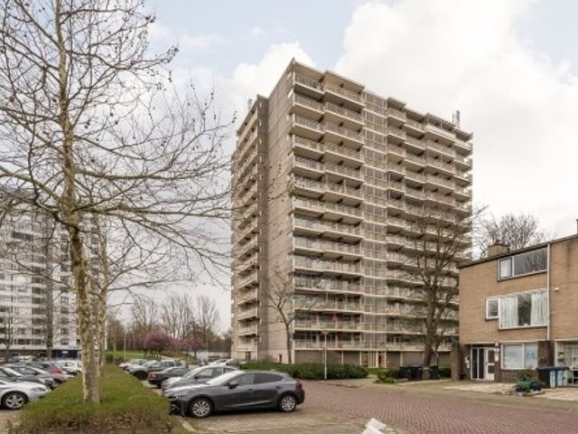 Octant , Dordrecht