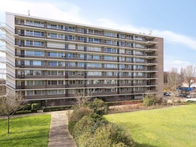 Apollolaan , Leiden