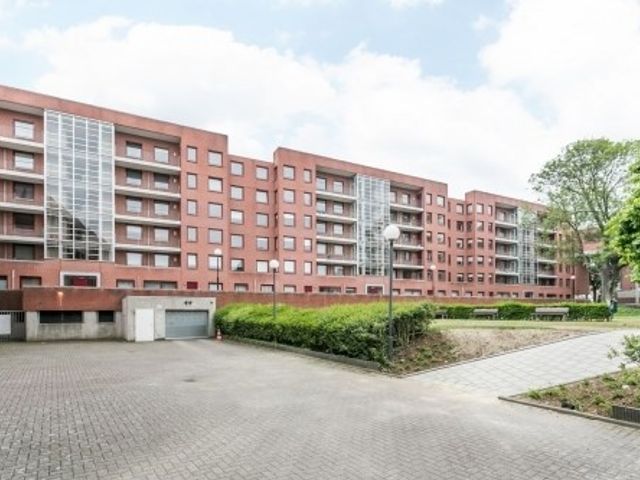 Sphinxlunet , Maastricht