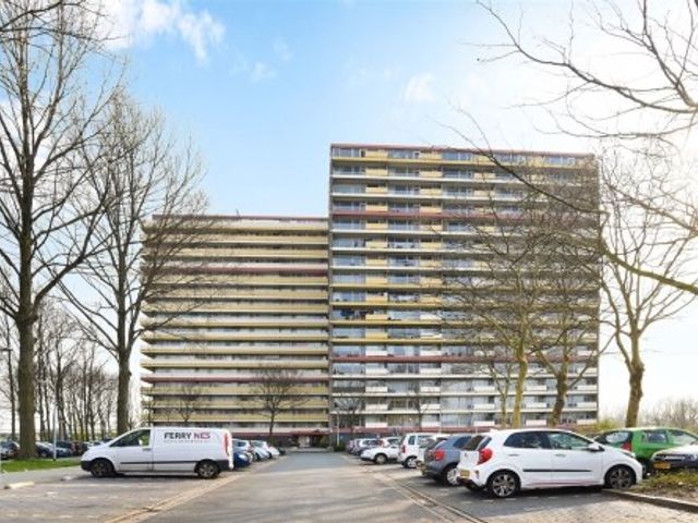 Oost Dorsch , Zaandam