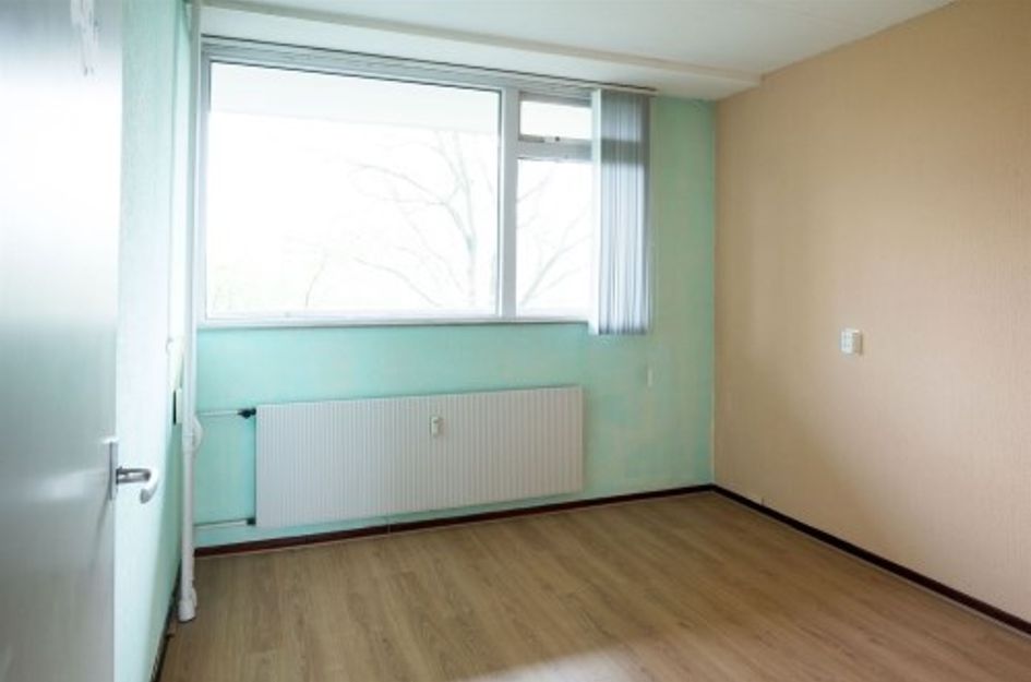 Stadhoudersring 