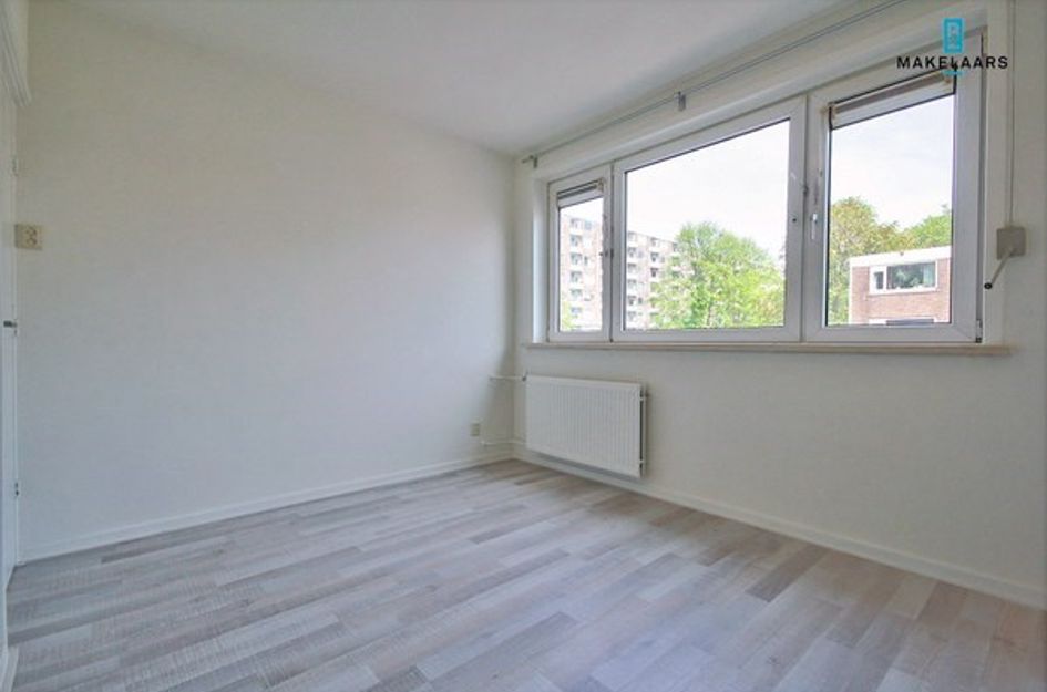 Wedderborg 12
