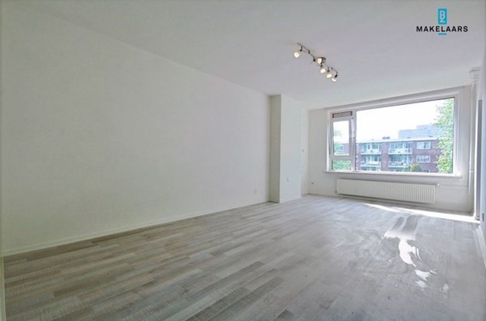 Wedderborg 12