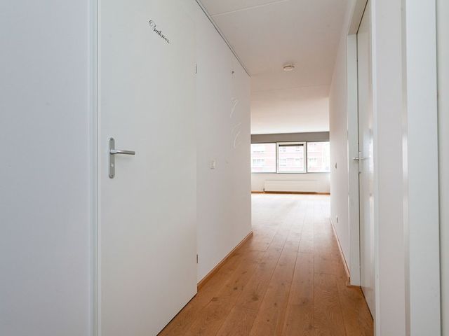 Honingerhof 1, Rotterdam