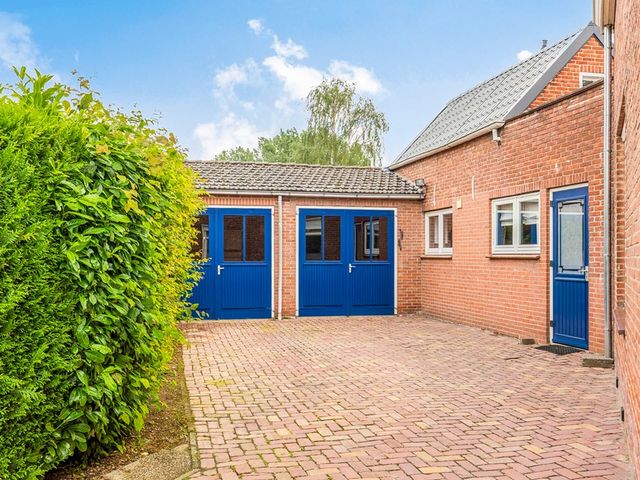 Rapenburg 1A, Vogelwaarde