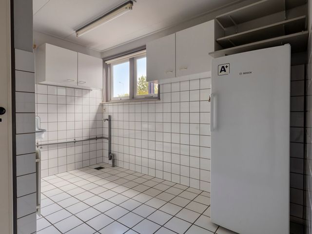 Rapenburg 1a, Vogelwaarde