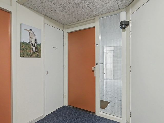 de Heul 55, Maasdam