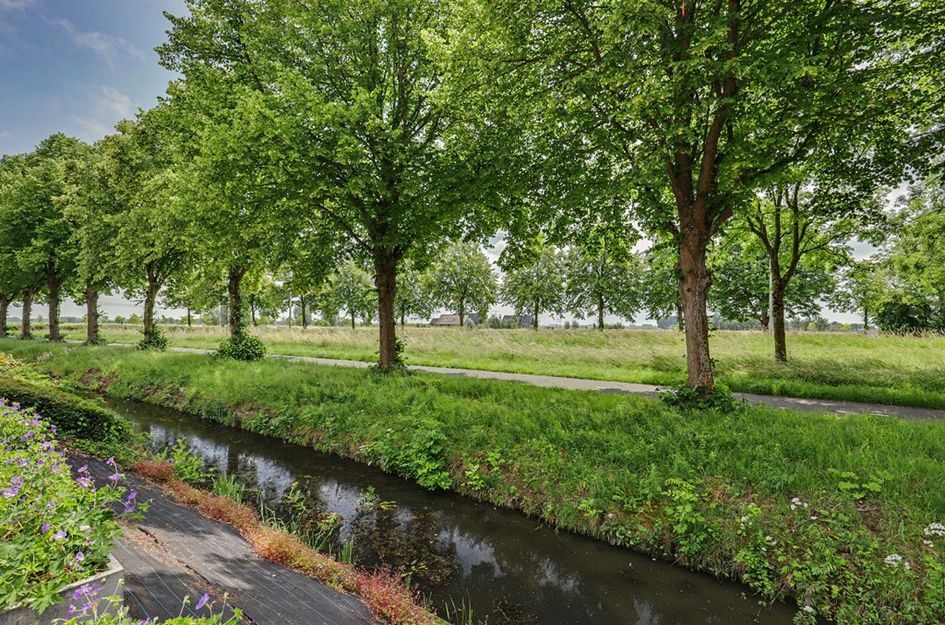 de Heul 55