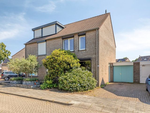 Knopkruid 45, Venray