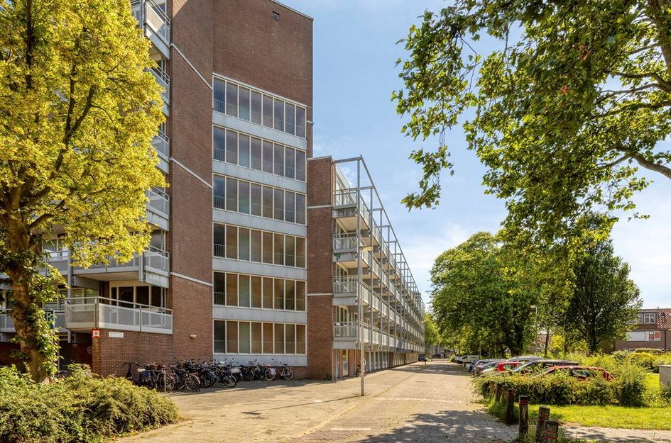 Roodborststraat 57