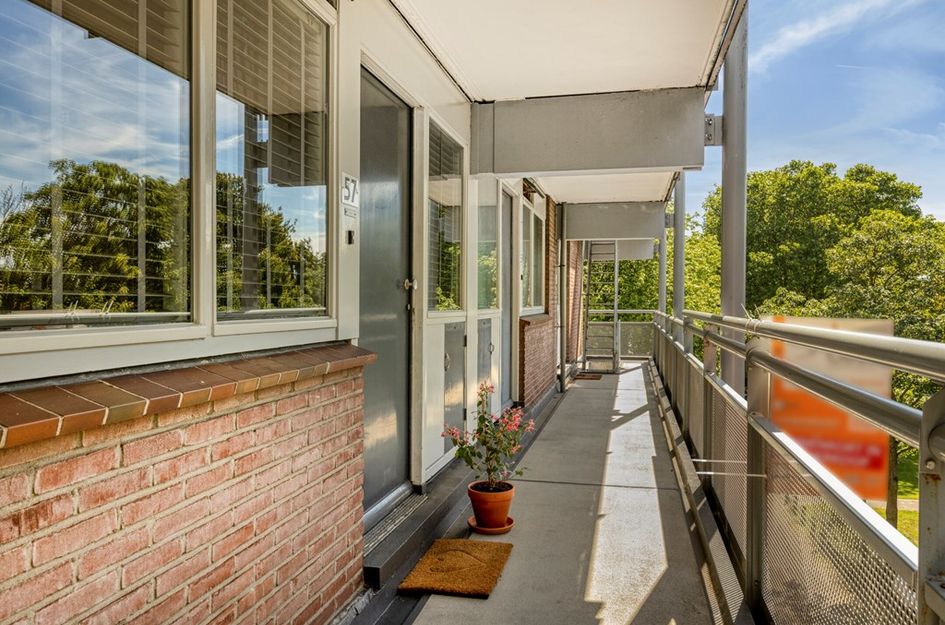 Roodborststraat 57